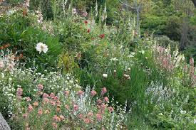 Check spelling or type a new query. Our Garden