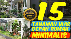 Desain kanopi untuk taman rumah. 15 Tanaman Hias Depan Rumah Minimalis Yang Memanjakan Mata Youtube