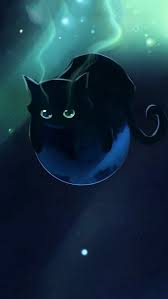 Wallpaper Iphone 5 Cute Cats And Dogs Cute Baby Cats Animal Wallpaper