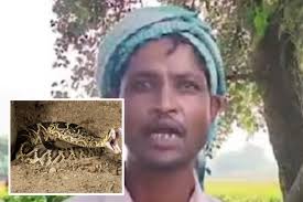 Lelaki ini dakwa isterinya bertukar menjadi ular setiap waktu malam.  Menurut Meraj, kejadian aneh itu bukan berlaku sekali tetapi sebaliknya  berulang hampir setiap malam sejak beberapa minggu lalu. Dia mendakwa telah  digigit