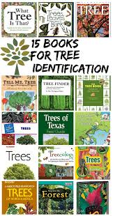 Winter tree identification part i: 50 Inspiring Books To Make Arbor Day Celebrations Fun Family Style Schooling