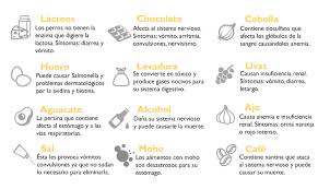 Alimentos Prohibidos Para Los Perros 3patas