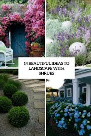 Beautiful Ideas To Landscape With Shrubs Cover Landscaping Shrubs Garden Shrubs Shrubs