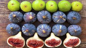 Poin penting yang pertama cara menanam tomat dalam pot adalah memilih bibit buah tomat yang baik, agar tanaman yang dihasilkan dapat tumbuh dengan baik serta menghasilkan panen tomat yang melimpah. Tips Budidaya Tanaman Buah Tin Di Dalam Pot Agar Tumbuh Subur Dan Cepat Berbuah Higaragro