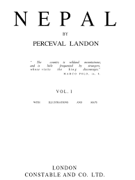Image result for Erythrocephalum scabrifolium