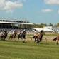 Turf Sprint Showcase event in Tampa, FL