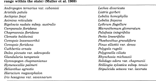 Image result for Rhynchosia chapmanii