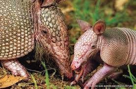 Maybe you would like to learn more about one of these? No Joke