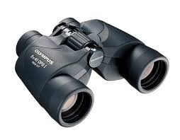 Maybe you would like to learn more about one of these? Best Bird Watching Binoculars Bird Spot