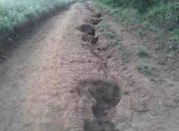 Resultado de imagem para estradas vicinais abandonadas+imagens