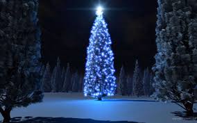 Check spelling or type a new query. Wolosek Christmas Trees Home Facebook