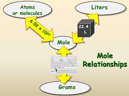 The Mole
