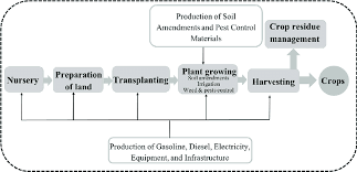 A General Flowchart Of The Cradle To Farm Gate Life Cycle