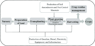 a general flowchart of the cradle to farm gate life cycle