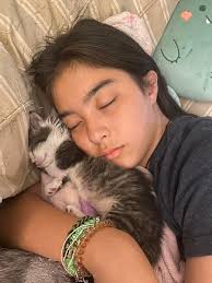 video by Ze Frank (of 'Sad Cat Diary' and 'Dear Kitten')