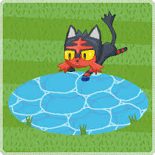 Flamiaou pokemon pixel art beads litten pokemon pixel. Animation Babies Woopers Playing With Litten By Thelittlelight On Deviantart