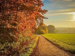 What S On Festivals This September 2019 On The Island Of Ireland Landscape Irish Tourism Ireland