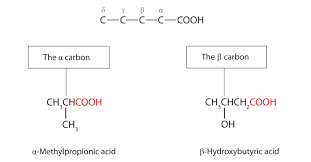 (look closely at yow chart nomenclature priorities of. Carboxylic Acids Structures And Names