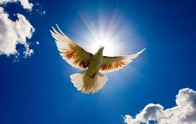 Духов день всегда отмечается на 51 день от пасхи и посвящён тому же. 6korzwjv5rifgm