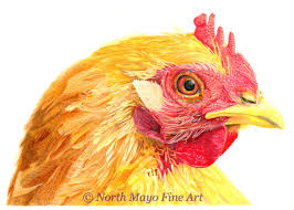 Check spelling or type a new query. Red Hen Is A Coloured Pencil Drawing Color Pencil Art Color Pencil Drawing Drawings