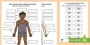 We did not find results for: Body Parts Labelling Activity English Italian Body Parts Labelling Activity