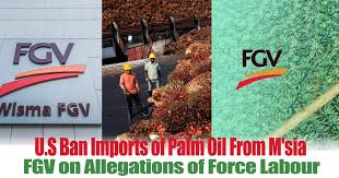 Or formerly felda global ventures holdings berhad; United States Ban Imports Of Palm Oil From M Sia Fgv Holdings Bhd On Allegations Of Force Labour Everydayonsales Com News