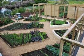 Planting Design Portfolio Native Garden Garden Paving Plants