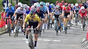 Can we stop taking the mick out of poor #alaphilippe, he was premature, he's a man, it's not that unusual. Der Taktikfuchs Zum Dritten Alaphilippe Sticht Roglic Aus Grenzecho