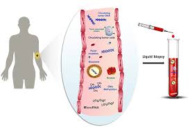Among these dimensions, the spr puts the most emphasis on student growth, reflecting our focus on and commitment to ensuring that all of our students are. Frontiers Surface Plasmon Resonance For Biomarker Detection Advances In Non Invasive Cancer Diagnosis Chemistry
