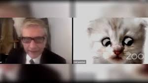 Ponton, who works as an attorney for texas' presidio county, showed up to a zoom hearing on tuesday prepared to discuss a civil forfeiture action, but in the square where he was used to seeing. Zoom Filter Turns Lawyer Into Cat During Court Session In Texas Cp24 Com