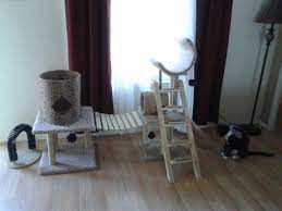 Thorough Inspection By Spoiled Cat Ladder Decor Home Decor Decor