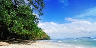 See more of pantai pangandaran jawa barat on facebook. 4 Hal Yang Wajib Diperhatikan Saat Berkunjung Ke Pantai Pangandaran Merdeka Com