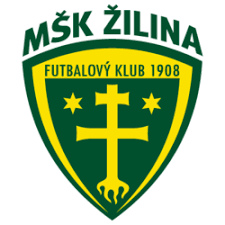 Slovakia football unisex hoodie top gift world cup sport. Msk Zilina Slovakia Zilina Football Logo Football Team Logos
