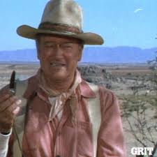 images?q=tbn:ANd9GcQTHlODPB_88GiNw82k6IP