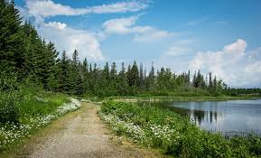 This is beauvais lake 1.5 by troy nickle on vimeo, the home for high quality videos and the people who love them. Southern Alberta Parks Worth A Visit Hike Bike Travel