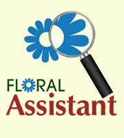 Hours may change under current circumstances Flowers By Bauers Greenhouses Any Occasion Jarrettsville Md 21084 Ftd Florist Flower And Gift Delivery