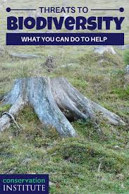 Biodiversitythreats Helpbiodiversity In 2020 Biodiversity Water Pollution Facts Pollution Activities