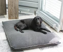 Chicca Die Hundedame Geniesst Ihr Divan Hundekissen Taglich Chicca Enjoy Her Divan Dog Cushion Every Day Labrador Dog Bed Orthopedic Dog Bed Dog Bed