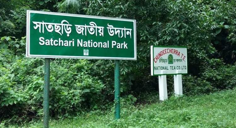 সাতছড়ি জাতীয় উদ্যান, হবিগঞ্জ - ভ্রমণ গাইড - Vromon Guide