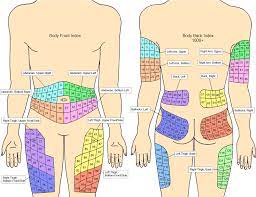 Check spelling or type a new query. View And Download Hd Injection Sites Index Printable Insulin Injection Site Rotation Chart Png Im Insulin Injection Sites Im Injection Sites Types Of Insulin