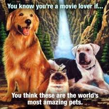 The original release date was february 12, 1993. World S Most Amazing Pets Homeward Bound Dog Movies The Incredibles Homeward Bound Movie