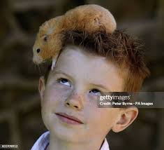 37 Breaking Out Of Mold Stock Photos, High-Res Pictures, and Images