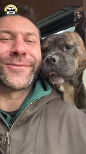 Bear deserved a second chance at life and he got it ❤️