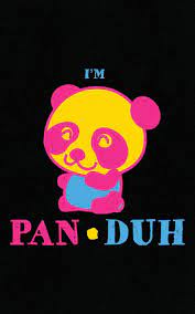 Tons of awesome pansexual pride desktop wallpapers to download for free. Amazon I M Pan Duh Pansexual Notebook Funny Gay Pride Gift A Panda Lgbt Journal Duh Pan Parenting Families