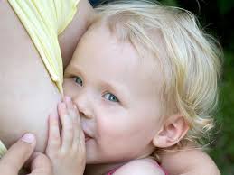 I was determined to wean our son from the bottle, breastmilk, and formula all at the same time. How Should I Stop Breastfeeding Babycentre Uk