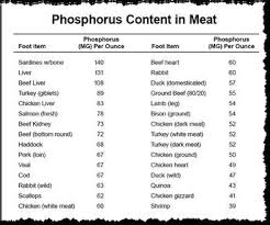 Kidney Disease And Prescription Kibble Kidney Disease Recipes Dog Kidney Disease Diet Kidney Disease Diet