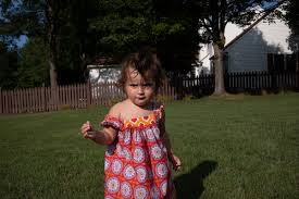 Profile for The Wacky World of PJ Ferrato