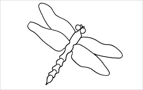 736 x 952 file type: 10 Dragonfly Templates Crafts Colouring Pages Free Premium Templates