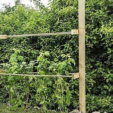 Video Himbeerspalier Bauen Garten Pflanzen Garten Hochbeet Rankhilfe