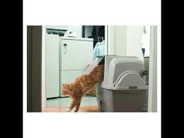 Catit Smartsift Otomatik Kedi Tuvaleti Amazonpetcenter Com Youtube